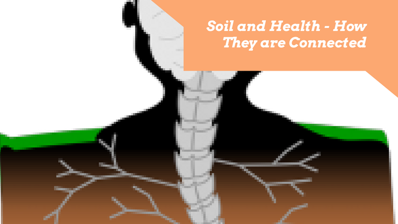 Soil and health – the basis for organics