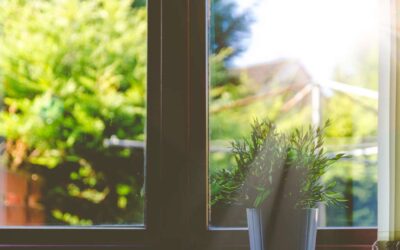 Easy Morning Routine for a Healthy Body and Mind