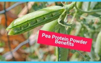 The Complete Guide to Pea Protein Powder |  Nutrition, Uses, Benefits, and Types
