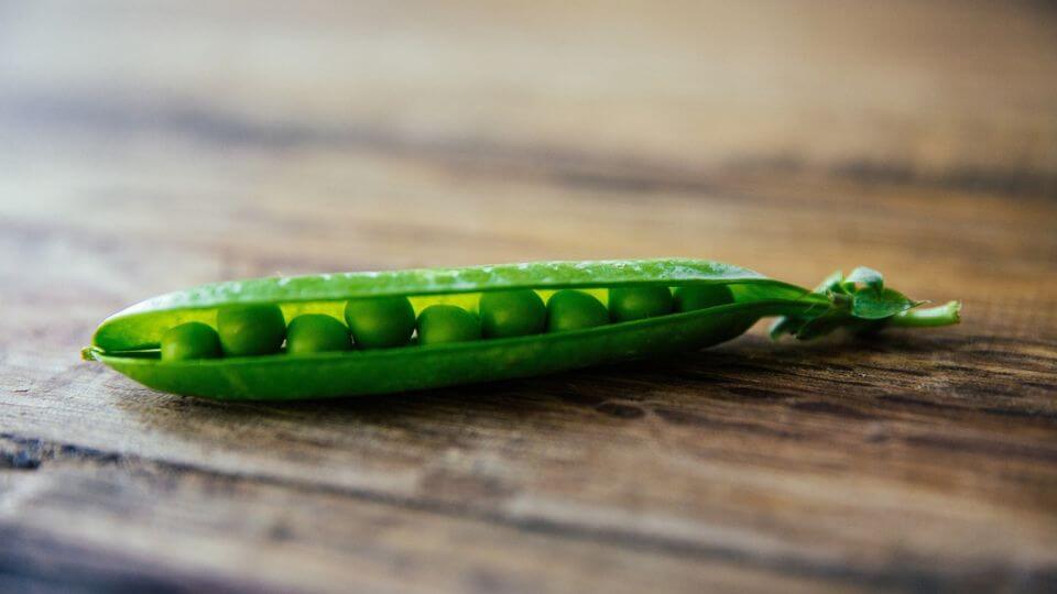 Peas in a pod on a wooden table.