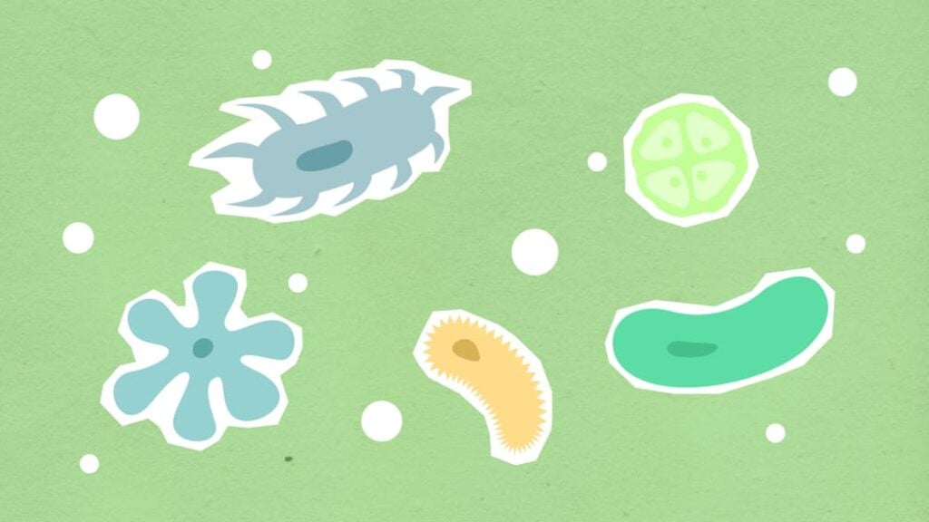 A cartoon image of microorganisms.